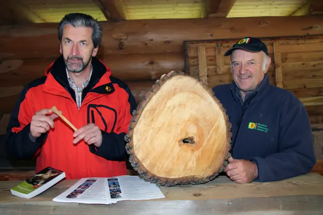 Kultur im Woid, Holzwelten Pabneukirchen. Nur wenige Schritte vom Marktplatz Pabneukirchen entfernt.  | Foto: Robert Zinterhof