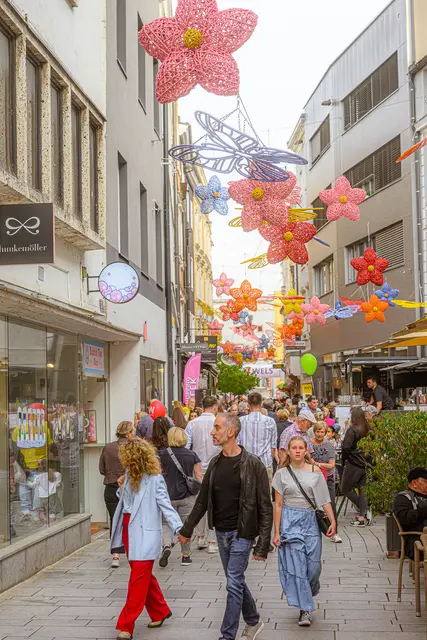 Foto: Rene Hauser