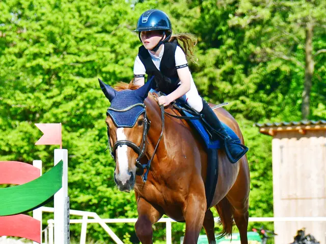 Reittalent Ida aus Amstetten (3 Bilder)