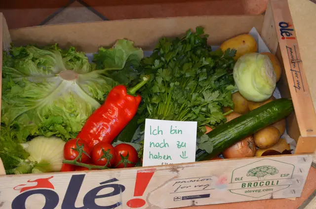 "Ich bin noch zu haben"-Gemüsekisterl vom Genussladen Lehengut in Werfen. | Foto: Maria Astner