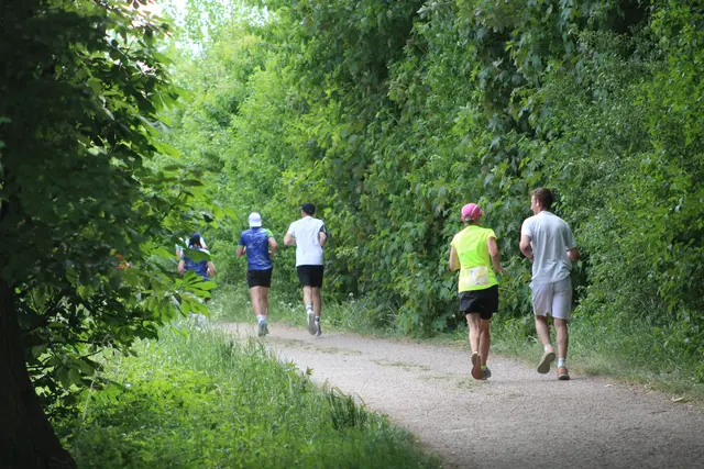  "Wings for Life Run" 2026 in Perg | Foto: MeinBezirk Perg/Köck