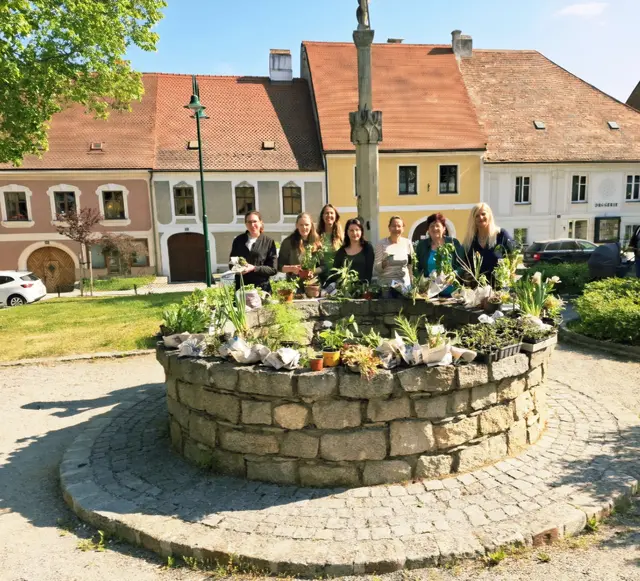 Ernesta Erasmus, Andrea Zotter, Birgit Gruber, Sarah Rotter, Sandra Dworak, Sonja Dundler und Hilde Juricka. | Foto: Stadtgemeinde Drosendorf-Zissersdorf