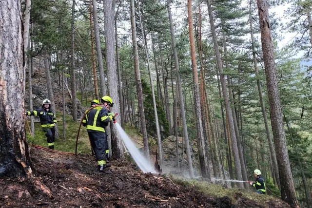 Die Löscharbeiten dauerten drei Stunden. | Foto: FF Gutenstein
