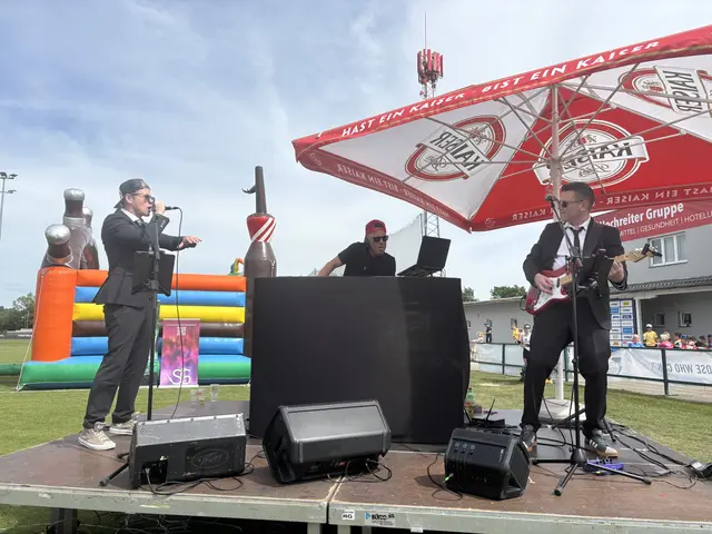 "DJ Sungarden" und ein Duo von "Funky Monkey Friends" | Foto: MeinBezirk Perg/Köck