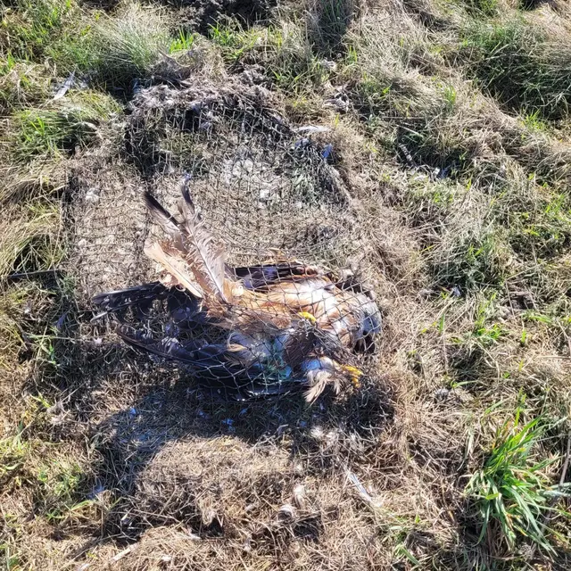 Birdlife Österreich brachte den Fall zur Anzeige. Die Falle wurde der Polizei übergeben.