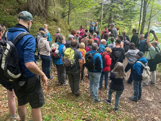 Mehr als 50 Teilnehmer der Krimiwanderung machten sich gemeinsam mit Autorin Maria Höfle auf den Dien-Mut-Weg.

 | Foto: Achensee Tourismus