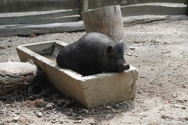 Foto: Victoria Nagy / MeinBezirk