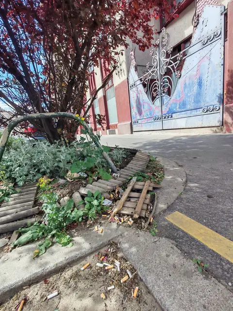 Video der Situation: MA42 Grünflächenbetreuung in Favoriten https://www.youtube.com/shorts/Mg33bBoKYm8