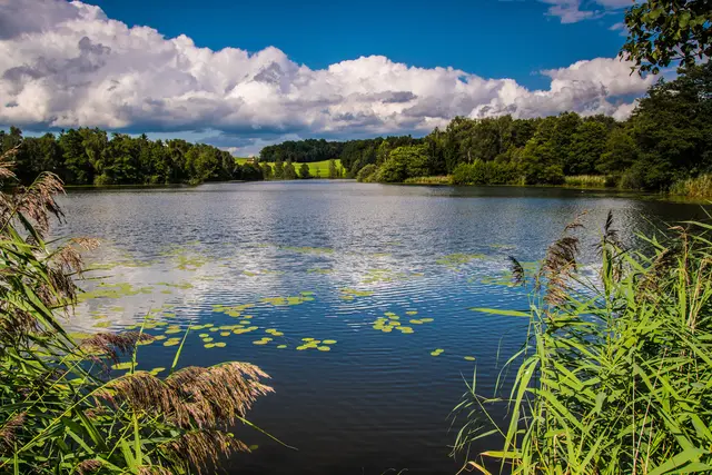 Das dunkle Seewasser bildet einen schönen Kontrast zum satten grün und dem blauen Himmel. 