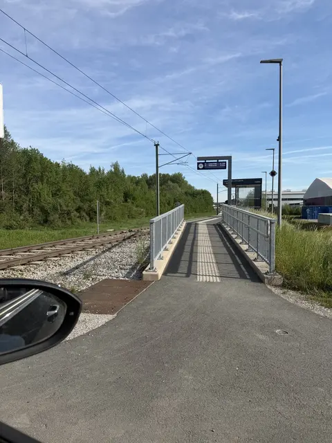 Foto: grüne