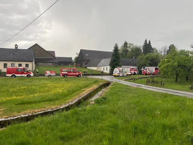 Kaminbrand in Rohrbach rasch unter Kontrolle