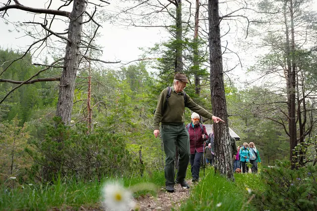 Leutascher Bergfrühlingstage ab 31. Mai!