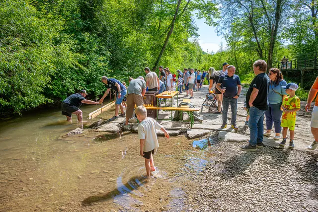 Auch heuer war das Duckentenrennen in Thalheim bei Wels ein großer Besuchermagnet für Jung und Alt. | Foto: Rene Hauser