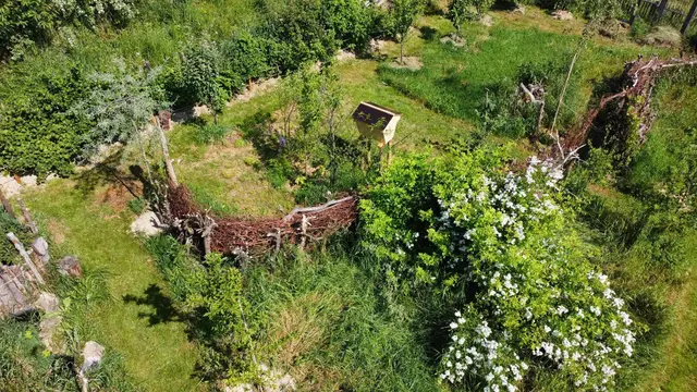 Blick von oben in den Garten von Barbara Hobarth | Foto: privat