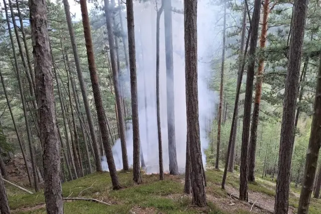 Rauchentwicklung im Wald – Feuerwehren verhindern Schlimmeres in der Region