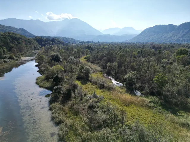 Der Möchlinger Auwald erstreckt sich über die Gemeinde Gallizien und St. Kanzian. | Foto: eb&amp;p Umweltbüro GmbH