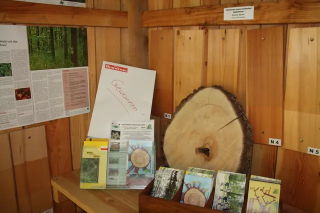 Kultur im Woid, Holzwelten Pabneukirchen. Nur wenige Schritte vom Marktplatz Pabneukirchen entfernt.  | Foto: Robert Zinterhof