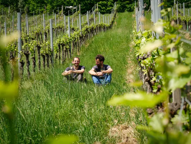 Die Fischer-Brüder Bernhard und Klaus setzen in St. Anna am Aigen auf Bio-Weinbau – sie sind mit ihrem Betrieb gemeinsam mit dem Biobauernhof Loidl (Kaindorf bei Hartberg) und dem Biohof Holzer (Joglland) im Rennen um den Award Bio-Newcomer 2026.  | Foto: BIO AUSTRIA Steiermark
