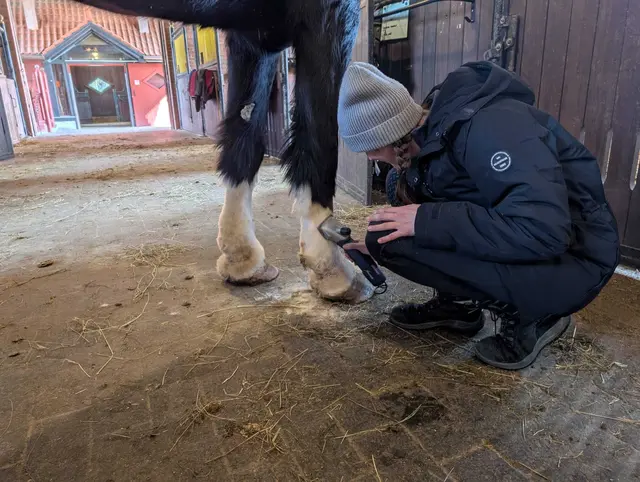 Foto: tierschutzverein