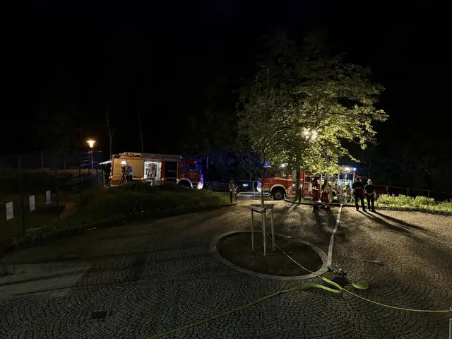 Das Landeskriminalamt sowie der Bezirksbrandermittler aus Hallein und verschiedene Sachverständige versuchten gemeinsam eine Ursache für das Feuer zu finden.  | Foto: Karina Tschematschar / Freiwillige Feuerwehr Hallein