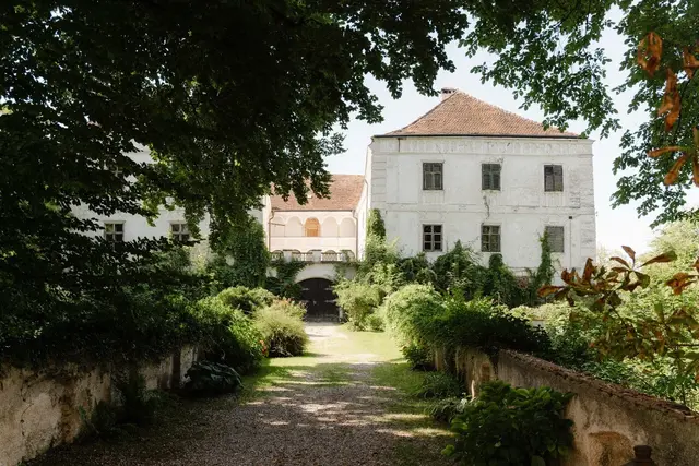 Kunst und Kultur auf Schloss Katzenberg
