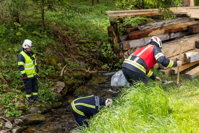 Foto: Fotokerschi/Flanz Plechinger