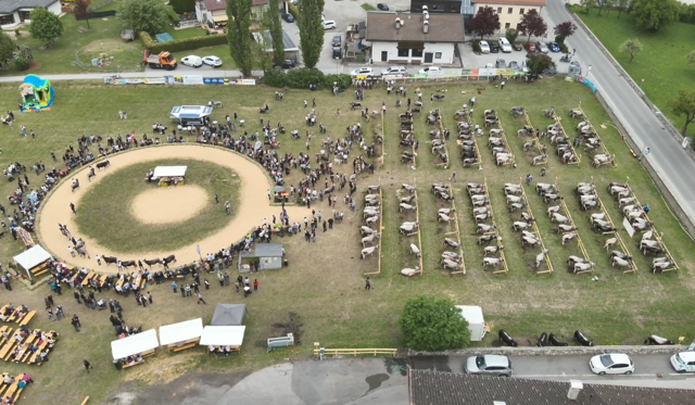 Das Ausstellungsgelände mitten in Ried vermittelte Volksfeststimmung. | Foto: Hansjörg Patscheider