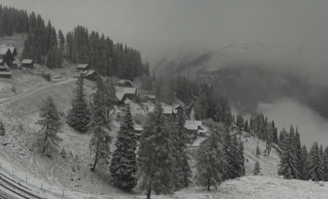 Webcam Embergeralm - Almgasthof Fichtenheim | Foto: Almhotel Fichtenheim