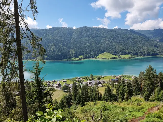 Wald der Zukunft | Foto: Naturpark Weissensee