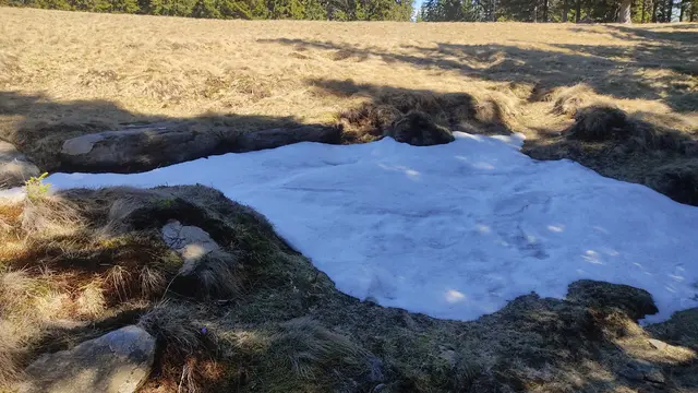 Auch das eine oder andere Schneefeld gab es am 1. Mai noch zu sehen. | Foto: Günther Koch