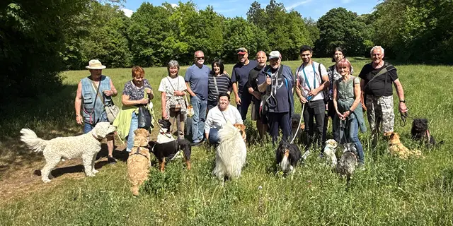 Linzerinnen und Linzer setzen sich für die Hunde-Freilaufzone im Wasserwald ein
