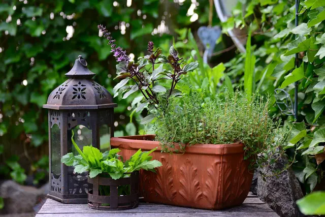 Kräuter am Balkon sind praktisch und schmackhaft. Doch welche Kräuter eignen sich am besten und wie pflanze ich sie an? | Foto: Pixabay/congerdesign (Symbolbild)
