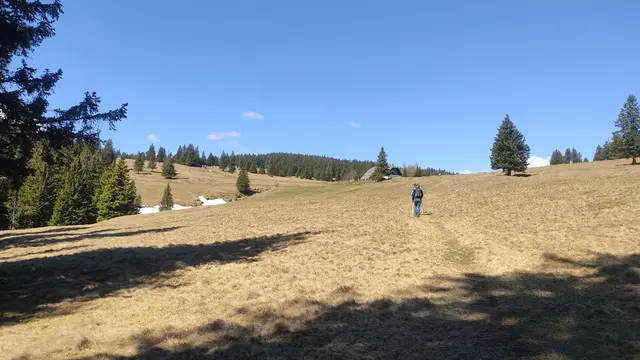 Wenn man den Wanderweg von der "Ehemaligen Lichtensteinsäge" genommen hat und vom Hochwald auf das freie Feld tritt, bietet sich dem Wanderer dieses Bild von der Brendlhütte. | Foto: Günther Koch