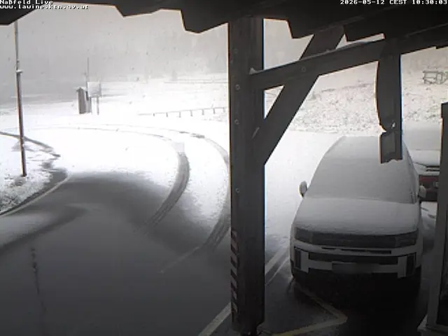 Webcam Nassfeldpass | Foto: Lawinenwarndienst Kärnten