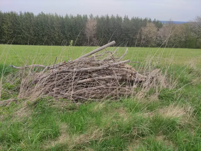Stein-Holzhaufen | Foto: Farming for Nature