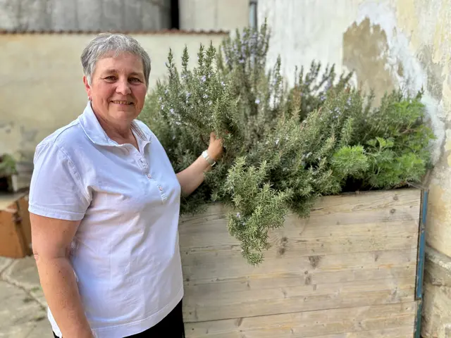 Christine Bauer aus Untermixnitz in der Gemeinde Weitersfeld sprach mit MeinBezirk über ihre besondere Verbindung zur Natur und zu Wildkräutern. | Foto: Markus Kahrer