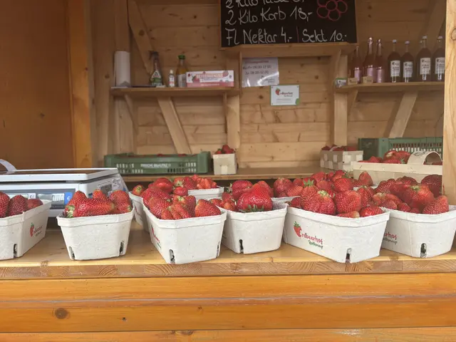 Erdbeeren aus Eferding gibt aktuell schon beim Standl in Rohrbach-Berg.  | Foto: Karin Bayr