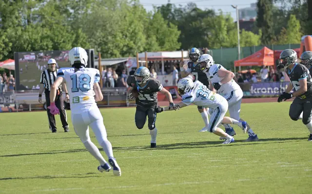 Am 9. Mai forderten die Welser Huskies die Styrian Bears im Mauthstadion heraus und lieferten sich einen Tanz mit dem Bären. | Foto: Huskies Wels/Straub