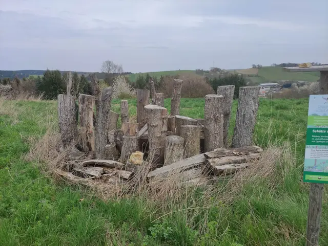 Käferburg | Foto: Farming for Nature