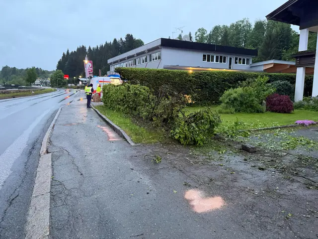 Mehrere Meter Hecke wurden bei dem Unfall im Bezirk Kitzbühel niedergerissen. | Foto: ZOOM.TIROL