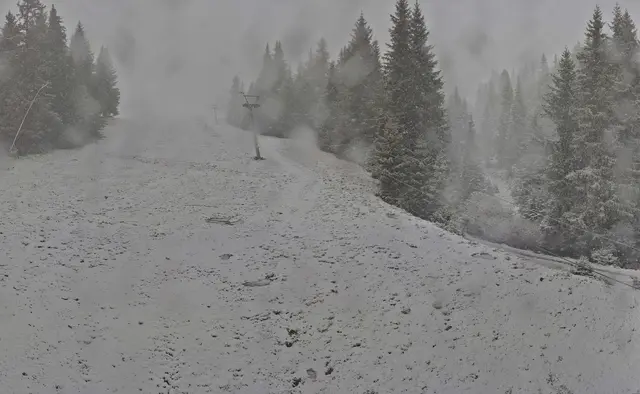 Webcam Saualpe Blick von der Steinerhütte / Talstation | Foto: Eberstein - Saualpe