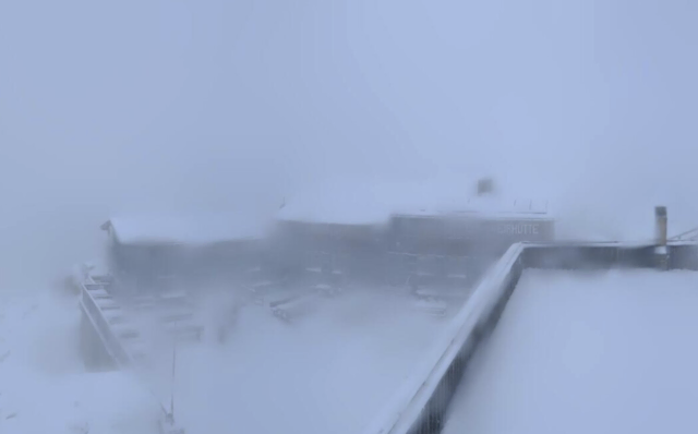 Webcam Großglockner - Edelweißspitze | Foto: Großglockner Hochalpenstraße
