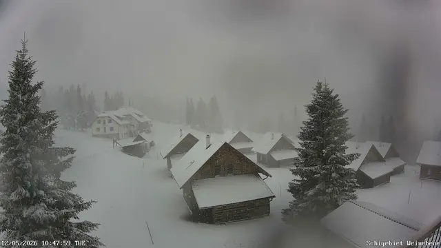 Webcam Weinebene Skigebiet | Foto: Weinebene-Apart