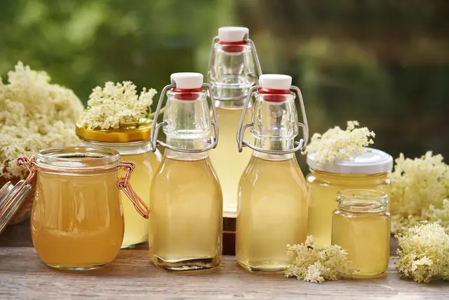 Holunderblüten sind vor allem für Saft sehr beliebt | Foto: Stockadobe/Madeleine Steinbach