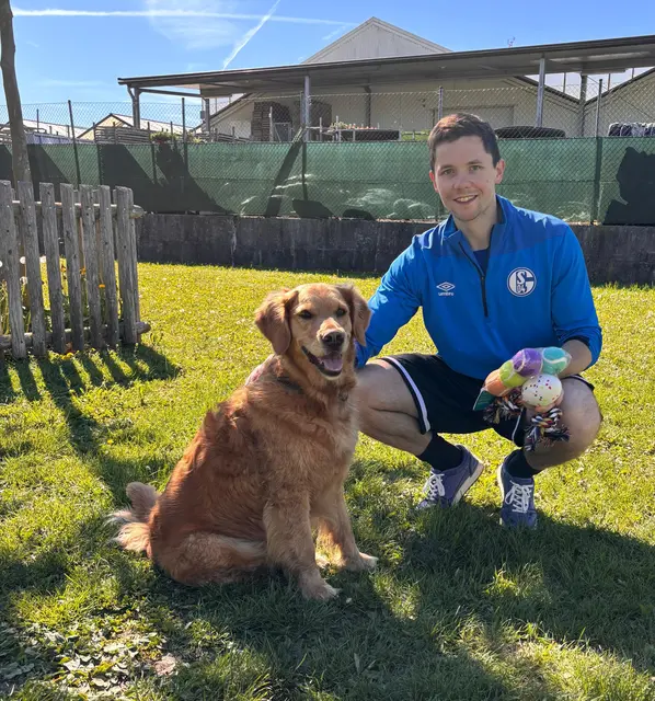 Neues Hundespielzeug für die Hundefreilaufzone Amstetten