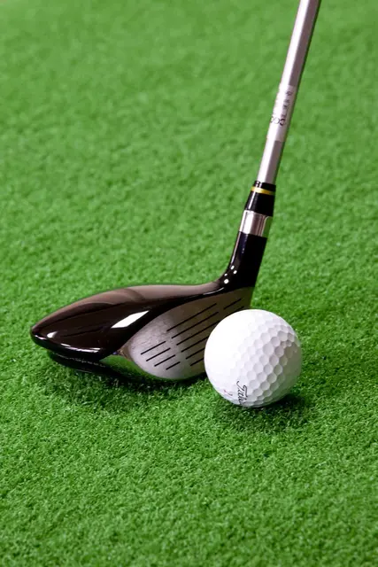 Golfsport in Österreich. (Symbolbild) | Foto: pixabay / HeungSoon