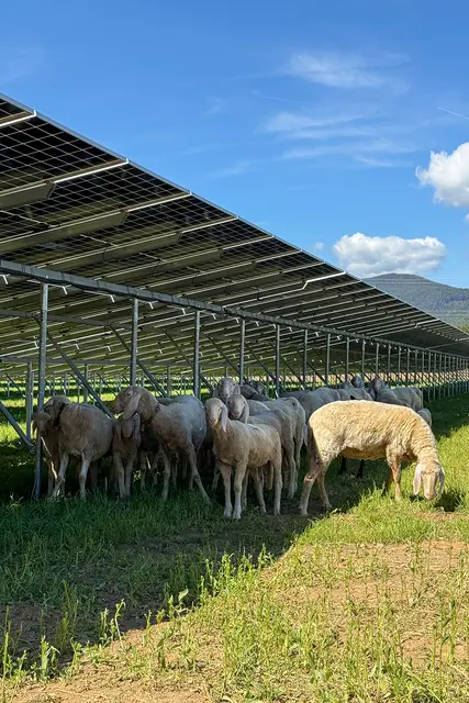 Foto: HSH Energieconsulting GmbH