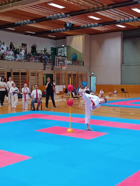 Sebastian Gantner während des Bewerbs. | Foto: Frieways Karate Klub