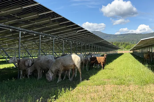 Foto: HSH Energieconsulting GmbH