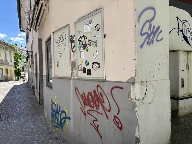 Nicht nur die Widmanngasse ist an vielen Stellen vollgeschmiert. | Foto: MeinBezirk.at